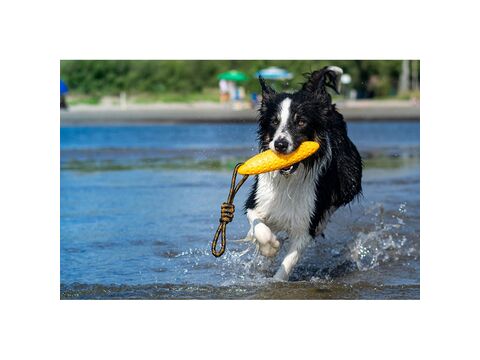 Kiwi Walker hračka pro psa plovací Zeppelin z TPR pěny 17 cm oranžová