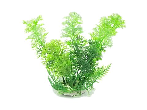 Tatrapet akvarijní rostlina 18-20cm 1x zelená+2x oranžová doprodej