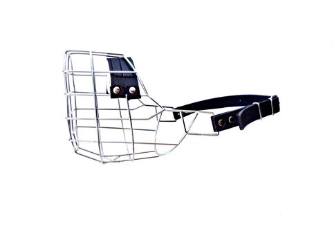 JVM náhubek zinek stafordširský bulteriér fena