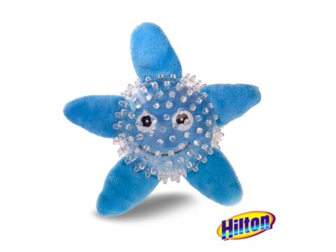 Hilton hračka pro psa dentální hvězdice pískací 12 cm modrá