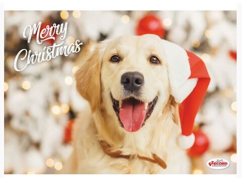 Record vánoční plastová podložka pod misky  42 x 30 cm pro psy labrador