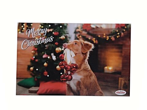 Record vánoční plastová podložka pod misky  42 x 30 cm pro psy hnědý pes
