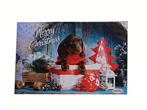 Record vánoční plastová podložka pod misky  42 x 30 cm pro psy jezevčík