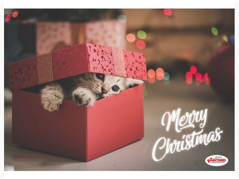 Record vánoční plastová podložka pod misky  42 x 30 cm pro kočky kočka v krabici 