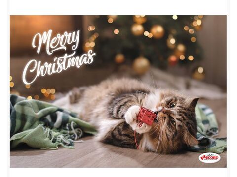 Record vánoční plastová podložka pod misky  42 x 30 cm pro kočky, kočka v zelené dece 