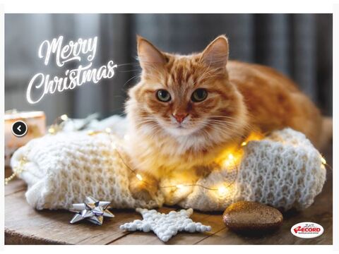 Record vánoční plastová podložka pod misky  42 x 30 cm pro kočky kočka na polštáři