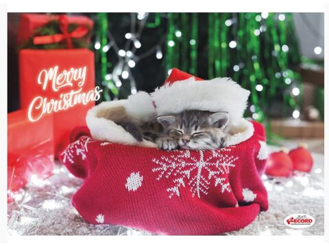 Record vánoční plastová podložka pod misky  42 x 30 cm pro kočky spící kočka v červené de 