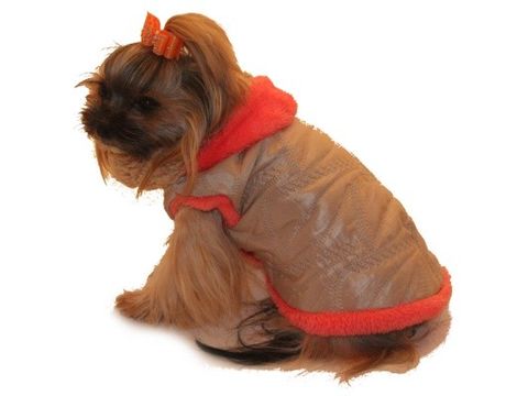 Marysa zimní vesta s kapucí rozepínací béžová a oranžová 40 cm délka, 45 cm obvod  