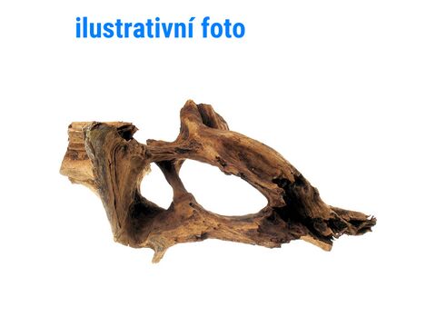 Tatrapet akvarijní kořen Jaty 55 - 100 cm  