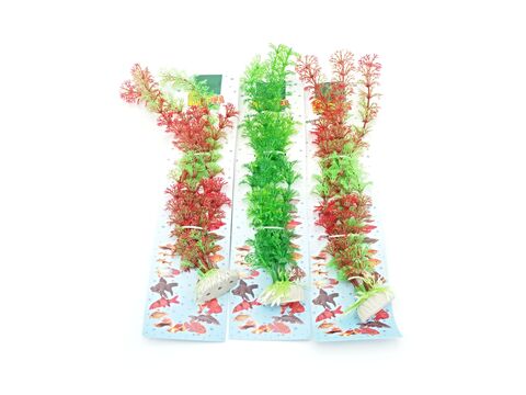 Tatrapet akvarijní rostlina Ambulia na kartě 20 - 28 cm, 3 ks, zelená, červená