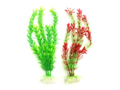 Tatrapet akvarijní rostlina 22 cm 1 x zelená, 1 x červená