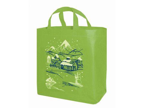 Nákupní vánoční taška na pamlsky 19 l 35 x 17 x 32 cm z netkané textilie zelená