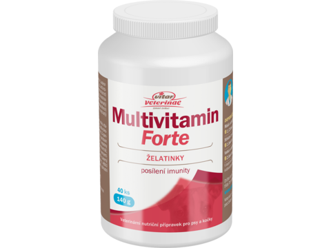 Multivitamín Forte 40 ks 