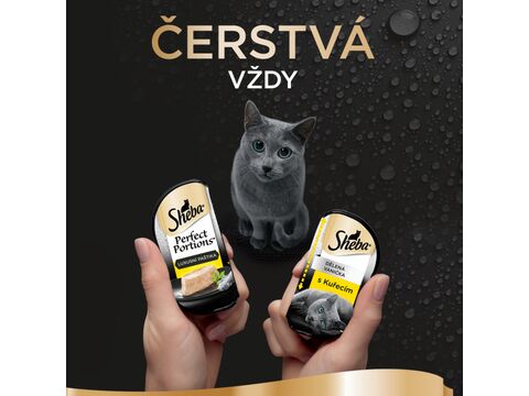 Sheba luxusní paštika kuře vanička 6 x 37,5 g 