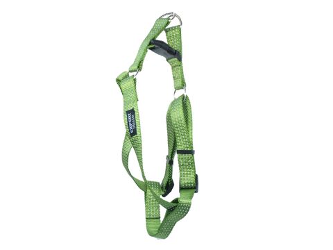 Tatrapet Pet Expert postroj Basic nylon 15 mm x 30 - 50 cm reflexní zelený