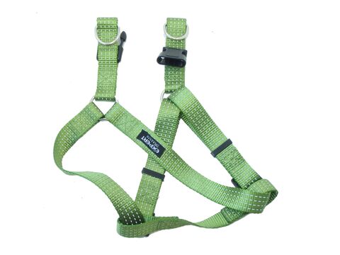 Tatrapet Pet Expert postroj Basic nylon 15 mm x 30 - 50 cm reflexní zelený