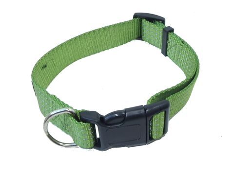 Tatrapet Pet Expert obojek na psa Basic 20 mm x 30-45 cm nylon 3 reflexní proužky zelený