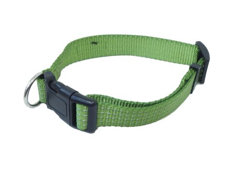 Tatrapet Pet Expert obojek na psa Basic 20 mm x 30-45 cm nylon 3 reflexní proužky zelený