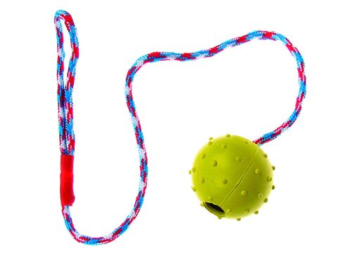 Tatrapet hračka pro psa míček průměr 5 cm na šňůře 60 cm tvrdá guma žlutý