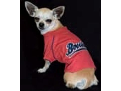 Nayeco obleček pro psa baseball červený 35 cm, obvod 48 cm doprodej