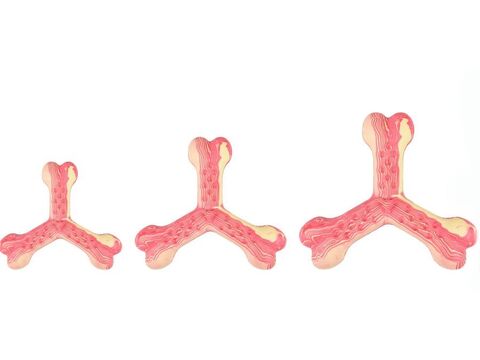 Flamingo hračka pro psa kříž 10 cm guma červená doprodej