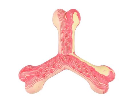 Flamingo hračka pro psa dentální kříž 15,5 cm guma červená