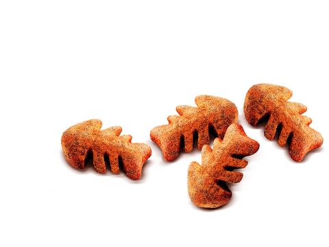 Carnilove Dog Crunchy Snack Salmon & Blueberries 200g  