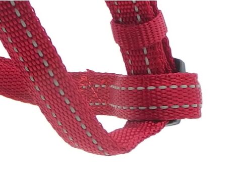 Nayeco postroj Basic Rojo nylon reflexní červený 15 mm x 35 - 60 cm