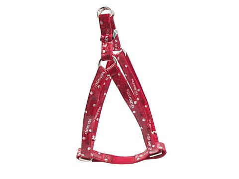 Nayeco postroj Envy wild koženkový červený 15mm x 35 - 60 cm 