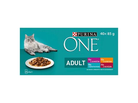 Purina ONE Adult 40 x 85 g kapsa mini filet jehně s mrkví,mořsk.ryby s fazol.,kuř ve šťávě