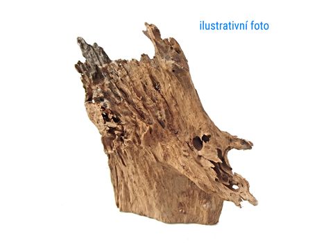 Tatrapet akvarijní kořen mangrove wood 35 - 45 cm 