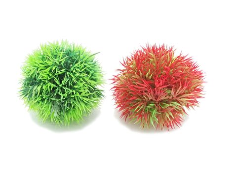 Tatrapet akvarijní rostlina na kartě,  9 - 10 cm, koule, 1x zelená a 1x červená 