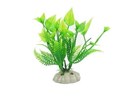 Tatrapet akvarijní rostlina na kartě 10 - 12 cm, 10 ks zelená a červená