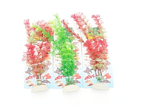 Tatrapet akvarijní rostlina na kartě 15 - 20 cm, mix 3 ks červená a zelená