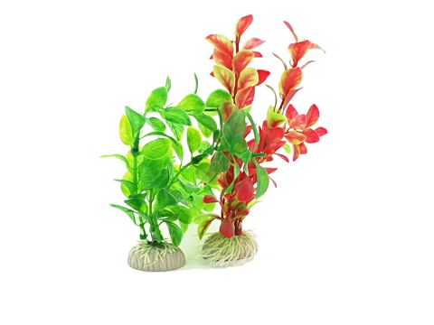 Tatrapet akvarijní rostlina Ludwigia na kartě, 15 -20 cm, 1 x zelená, 1 x červená 