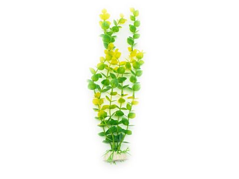  Tatrapet akvarijní rostlina 20 - 28 cm, 2x zelená, 1x žlutá, 1x červená