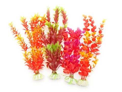 Tatrapet akvarijní rostlina na kartě 20 - 28 cm 4 ks červená 