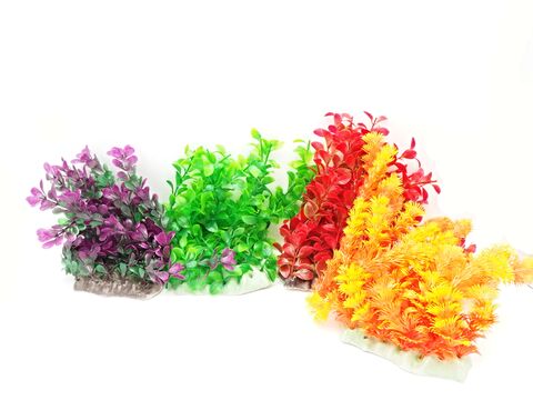 Tatrapet akvarijní rostlina 25 cm 1x zelená, 1x fialová , 1x červená, 1x oranžová