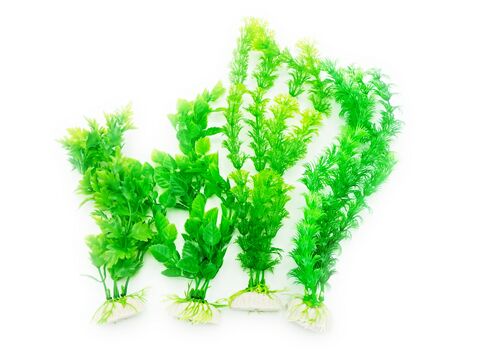 Tatrapet akvarijní rostlina 20-28 cm 6 ks mix zelená