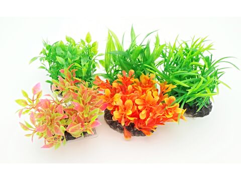 Tatrapet akvarijní rostlina 7-9 cm mix 5 ks červená, oranžová, zelená 
