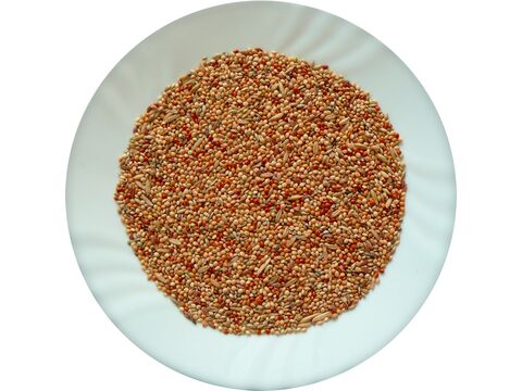 Avicentra Classic andulka 20 kg