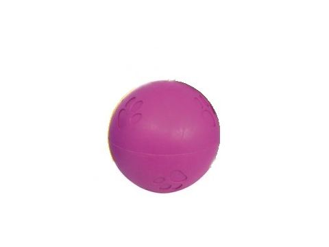 Nayeco hračka pro psa míček zdobený pískací průměr 10 cm tvrdá guma fialový
