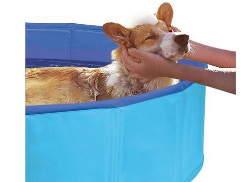 Record bazén pro psa skládací průměr 120 cm, výška 30 cm modrý