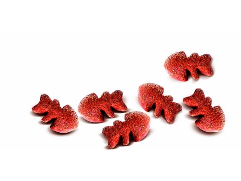 Carnilove Dog Crunchy Snack Mackerel & Raspberries 200g