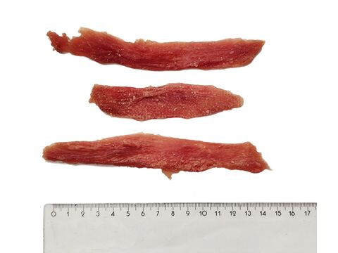 CARODO Měkké kachní jerky 500 g 