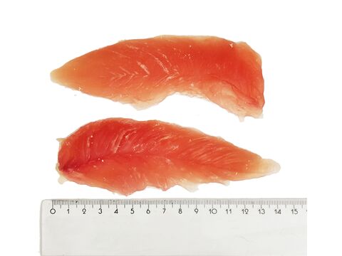 CARODO Měkký kuřecí filet 500 g