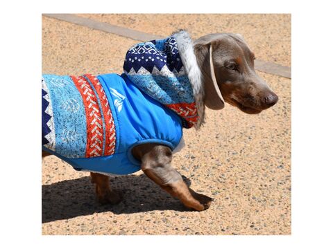 Nayeco vesta pro psa 40 cm, obvod 50 cm, Everest zateplená s kapucí modrá 