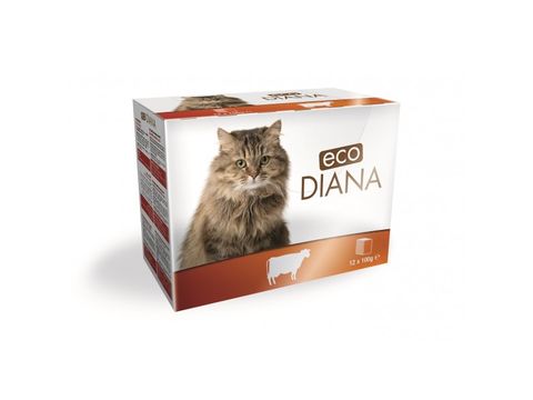 eco Diana kapsa 12 x 100 g hovězí v omáčce