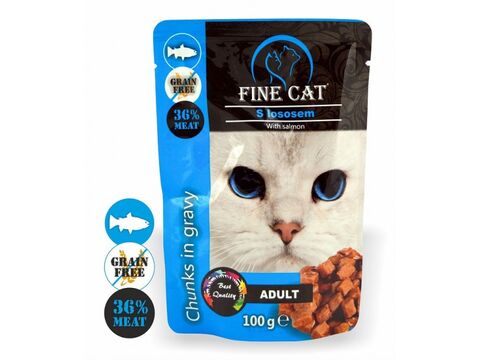 FINE CAT kapsička grain free 100g s lososem v omáčce
