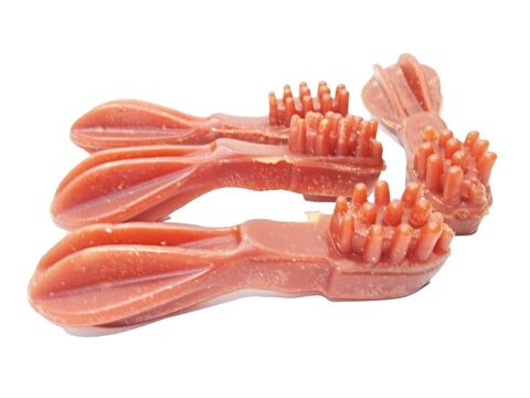 Hanny Food dentální kartáčky s uzeným lososem 500 g 